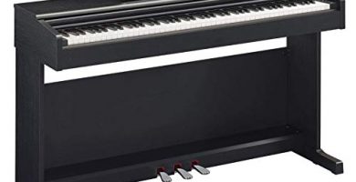 Yamaha Arius Digital Piano YDP-144B – Pianoforte Digitale con Suono da Concerto – Connettore Host USB – Compatibile con l'Applicazione Gratuita Smart Pianist – Nero
